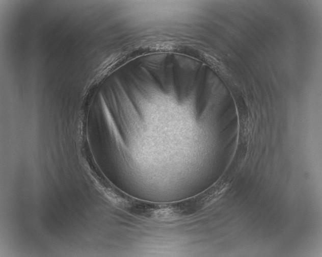 X0000053150309200507251848