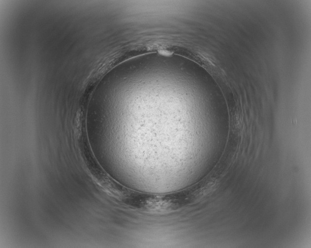 X0000053150311200507251848