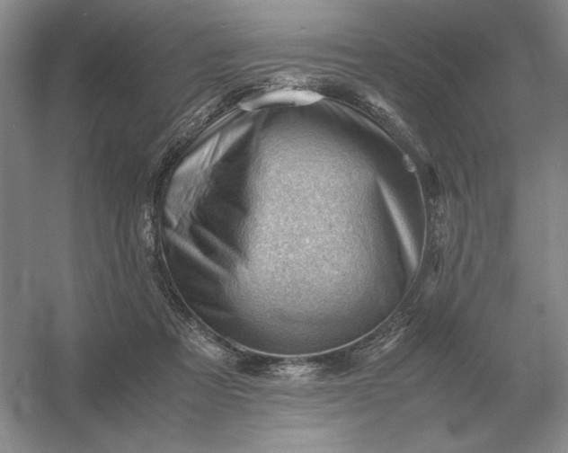 X0000053150313200507251848