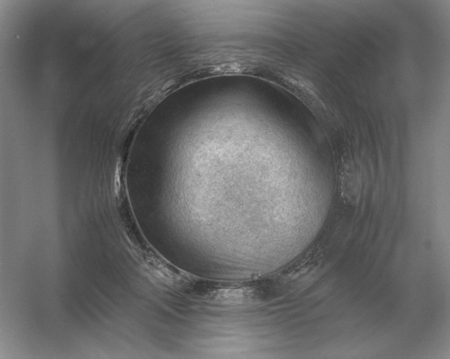 X0000053150314200507251848