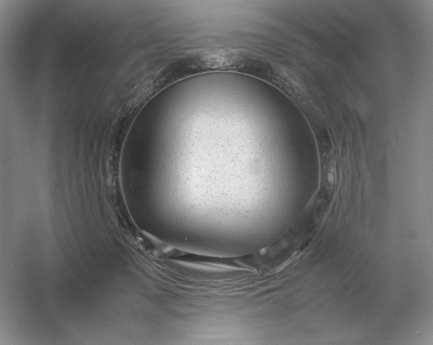X0000053150317200507251848