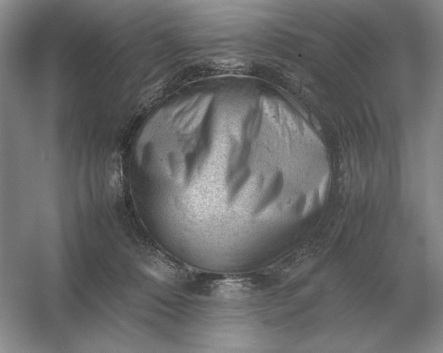 X0000053150320200507251848