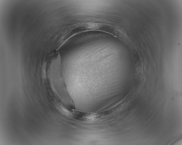 X0000053150325200507251848