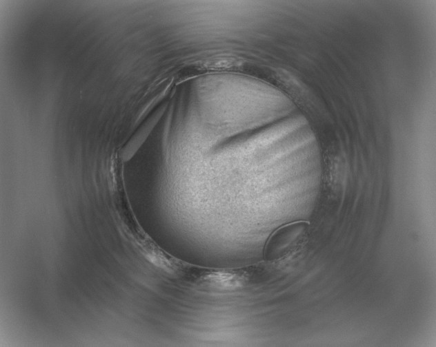 X0000053150326200507251848