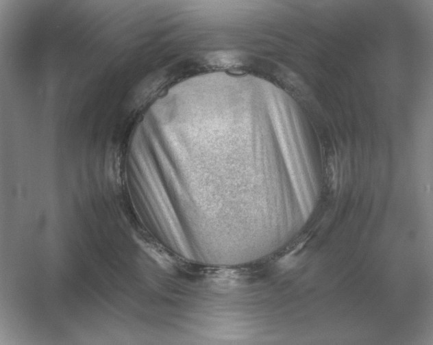 X0000053150330200507251848