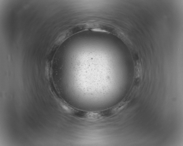 X0000053150333200507251848