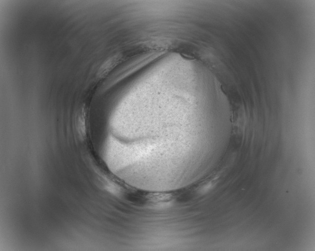 X0000053150334200507251848