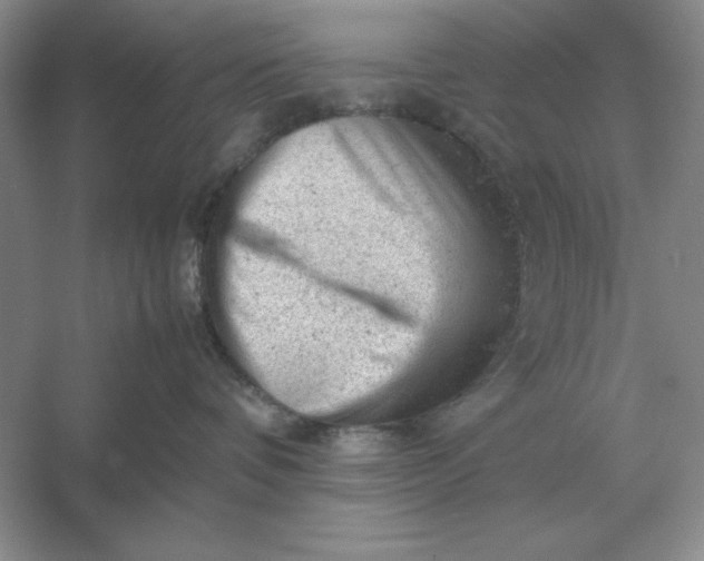 X0000053150336200507251848