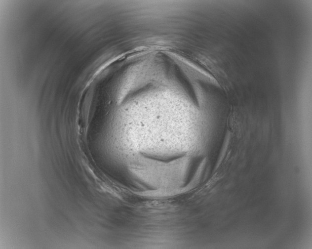X0000053150338200507251847