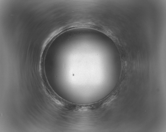 X0000053150340200507251847