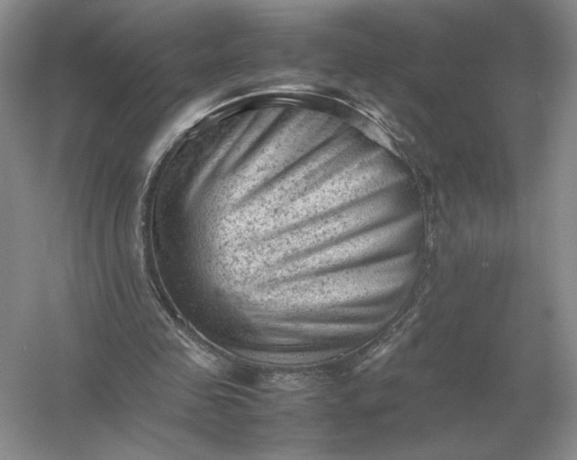 X0000053150341200507251847