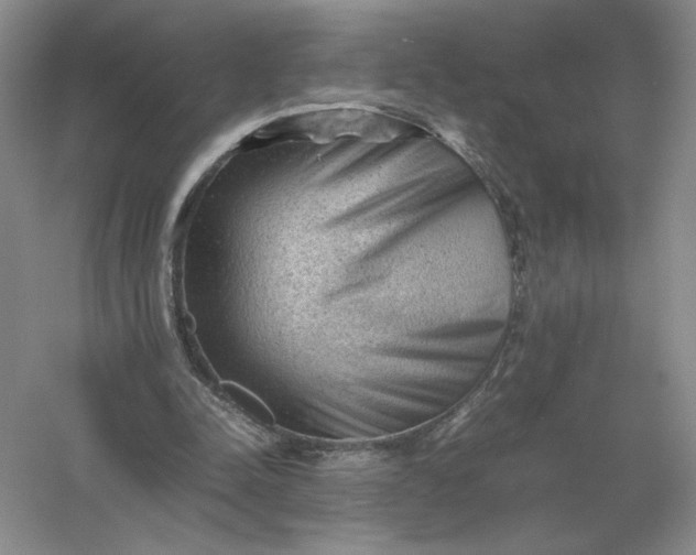 X0000053150342200507251847