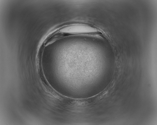 X0000053150343200507251847