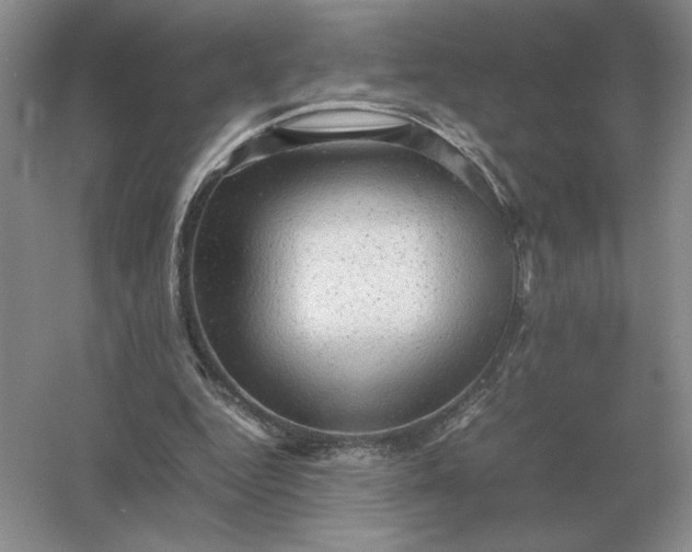 X0000053150344200507251847