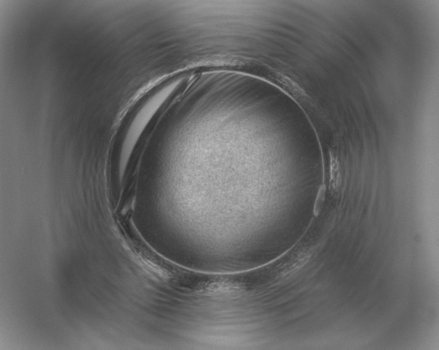 X0000053150348200507251847