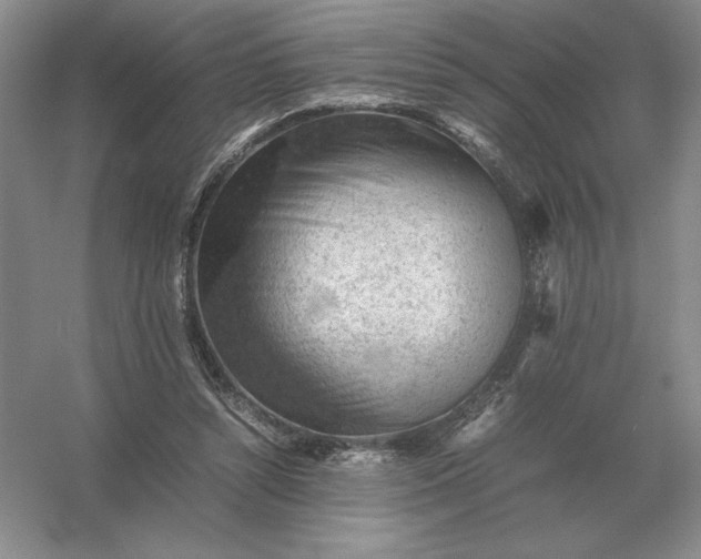 X0000053150352200507251847