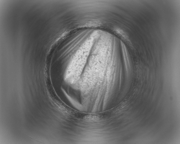 X0000053150354200507251847
