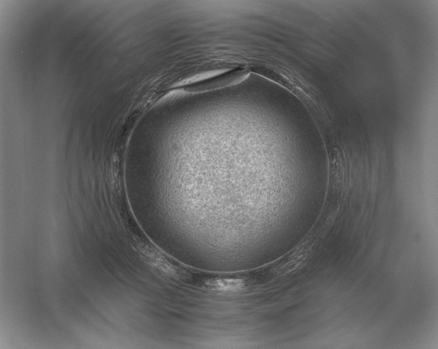 X0000053150361200507251848
