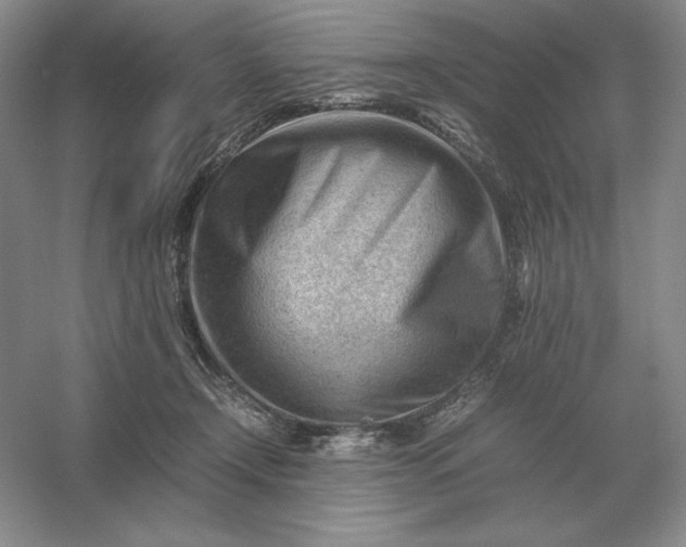 X0000053150366200507251848