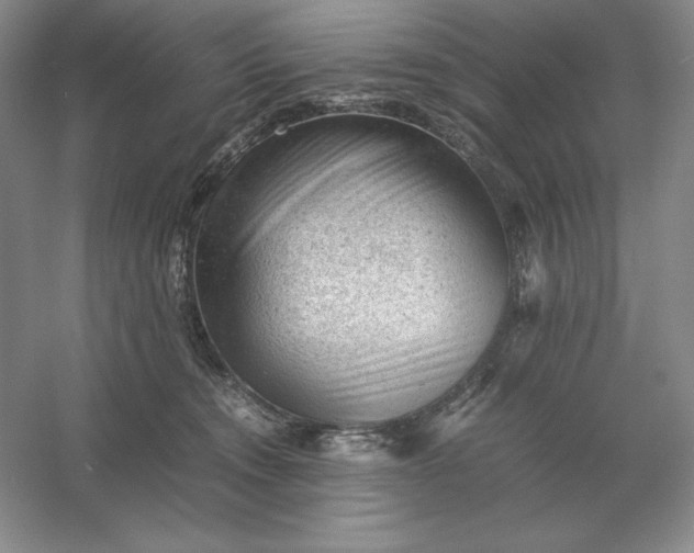 X0000053150372200507251848