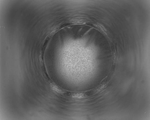 X0000053150377200507251848