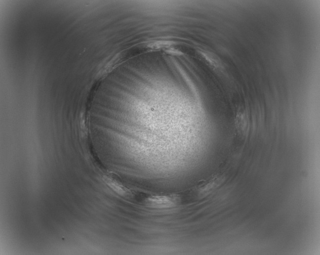 X0000053150381200507251848