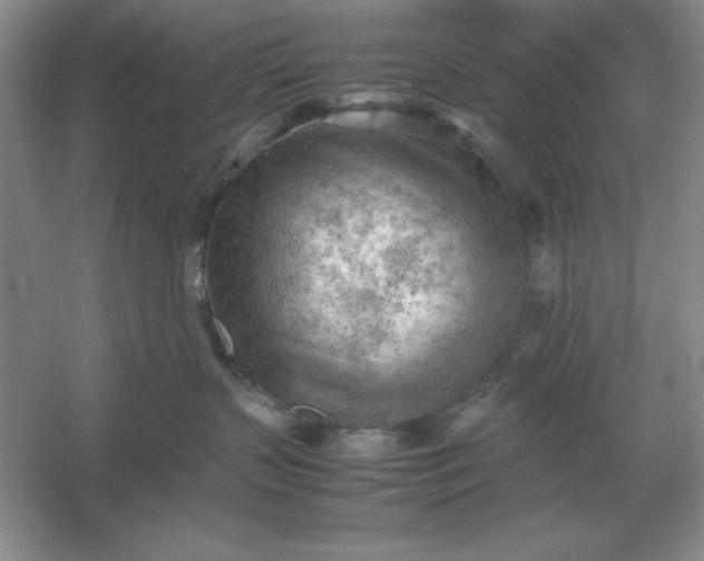 X0000053150383200507251848