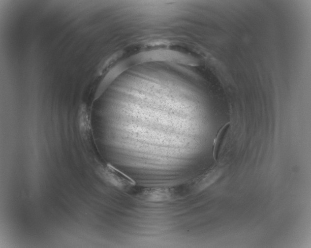 X0000053150384200507251848
