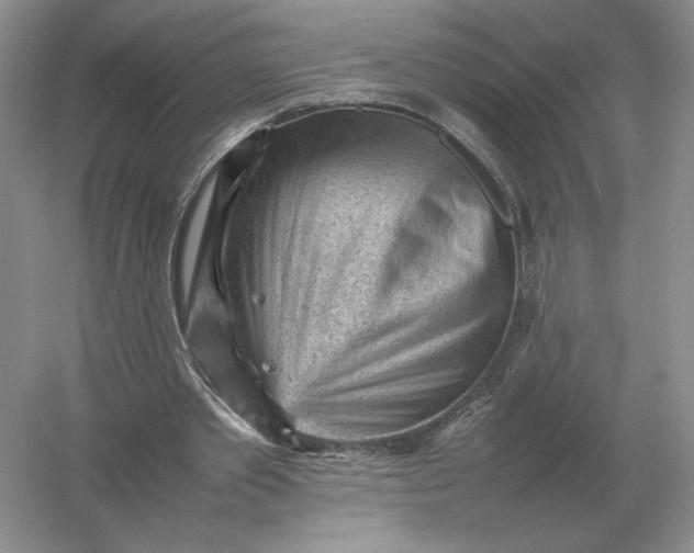X0000053150389200507251847