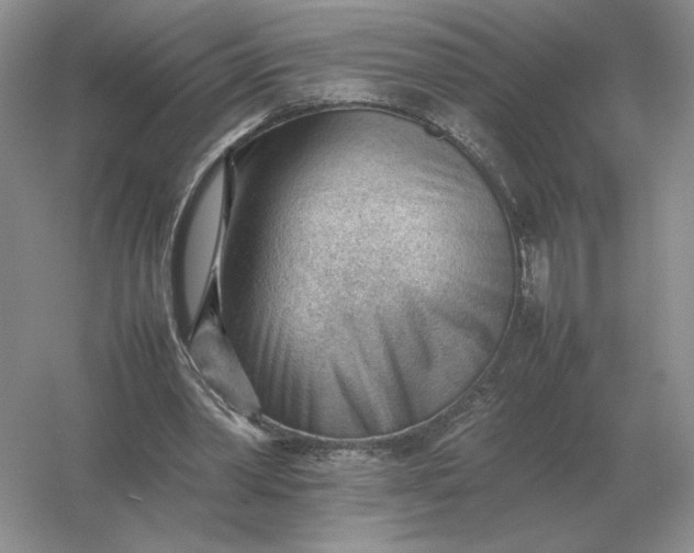 X0000053150390200507251847