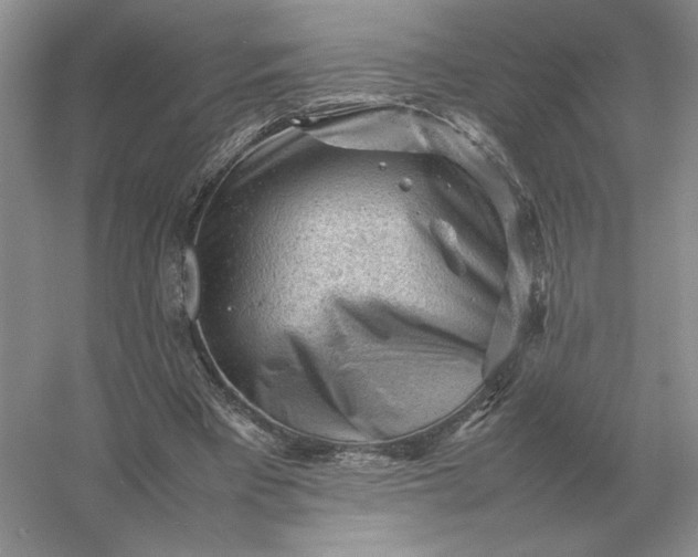 X0000053150393200507251847