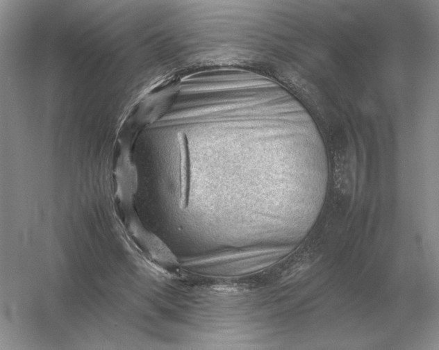 X0000053150394200507251847