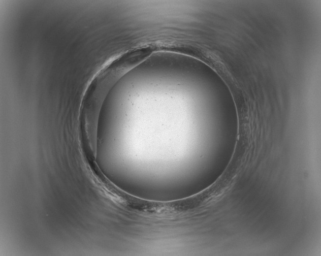 X0000053150395200507251847