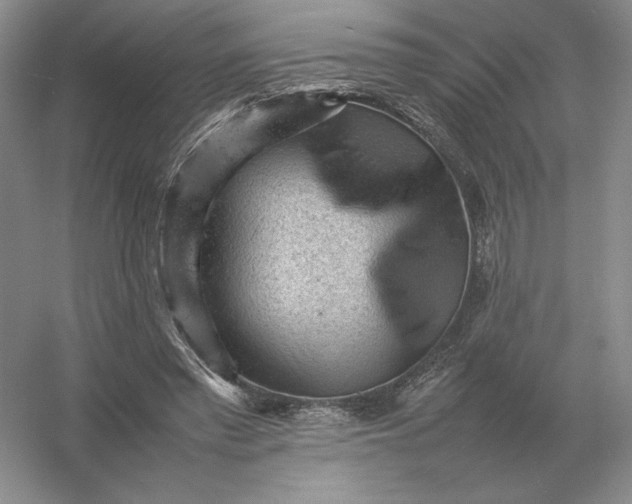 X0000053150397200507251847