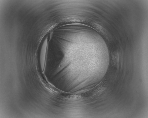 X0000053150398200507251847