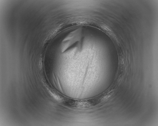 X0000053150401200507251847