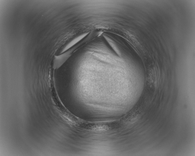 X0000053150402200507251847