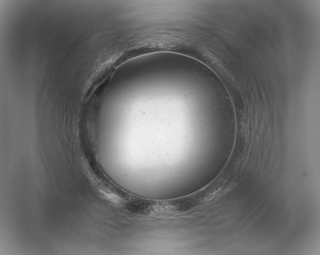 X0000053150403200507251847