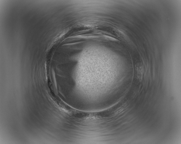 X0000053150404200507251847