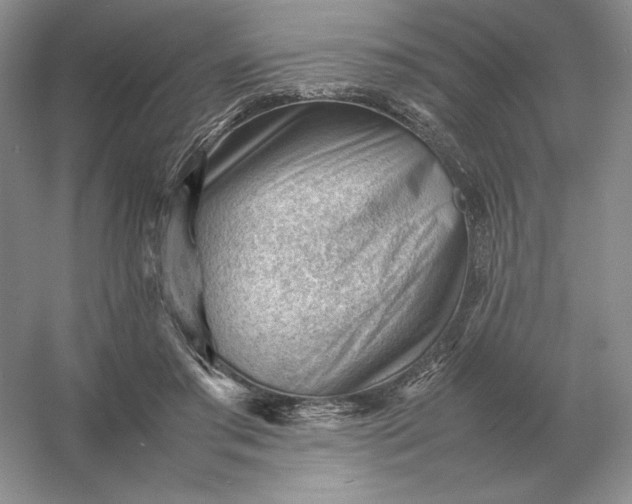 X0000053150405200507251847