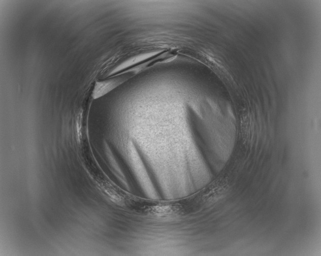 X0000053150406200507251847