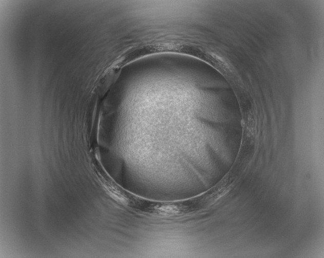 X0000053150409200507251847