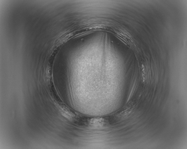X0000053150410200507251847