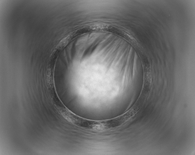 X0000053150411200507251847