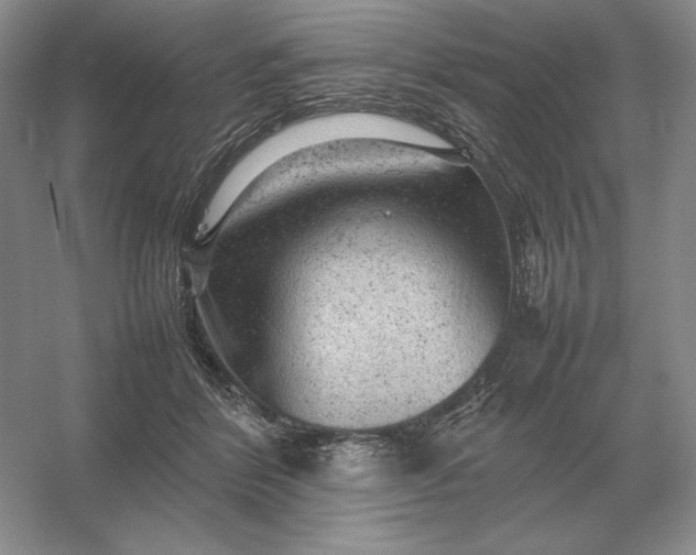 X0000053150412200507251847