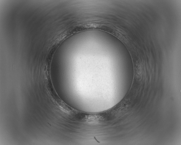 X0000053150414200507251847