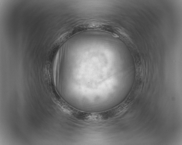 X0000053150415200507251847