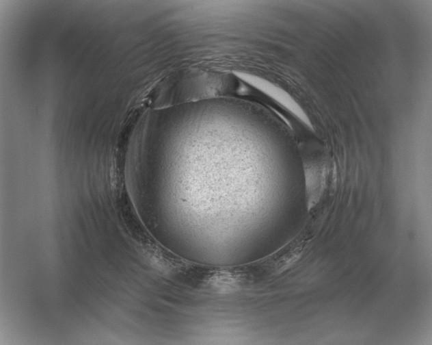 X0000053150416200507251847