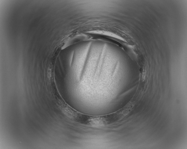 X0000053150417200507251847
