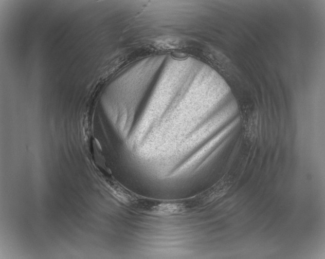 X0000053150418200507251847
